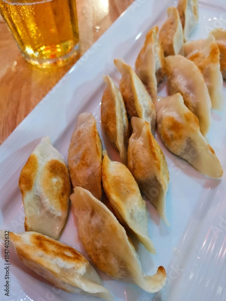Obraz Fried dumplings