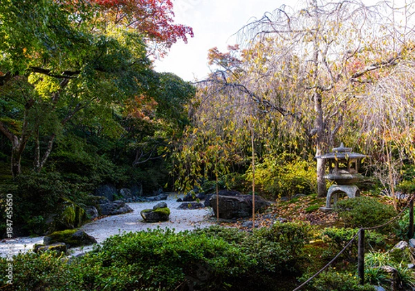 Fototapeta 京都、宝筐院の庭園