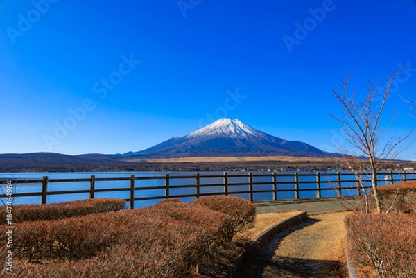 Obraz 山中湖親水公園から見えた冬の青空と富士山