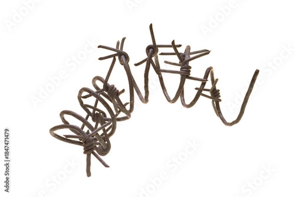 Obraz barbed wire isolated on white background