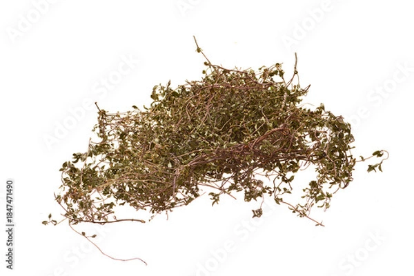 Obraz green tea isolated on white background