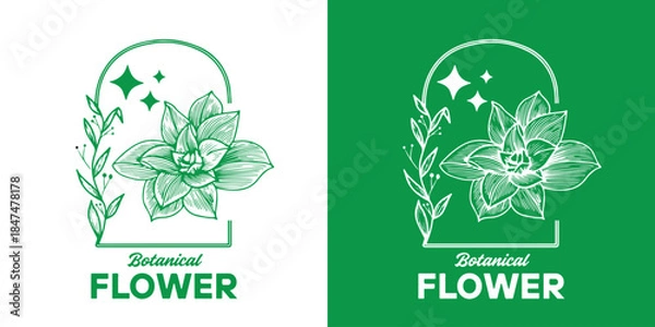 Obraz Elegant Botanical Flower Outline Emblem
