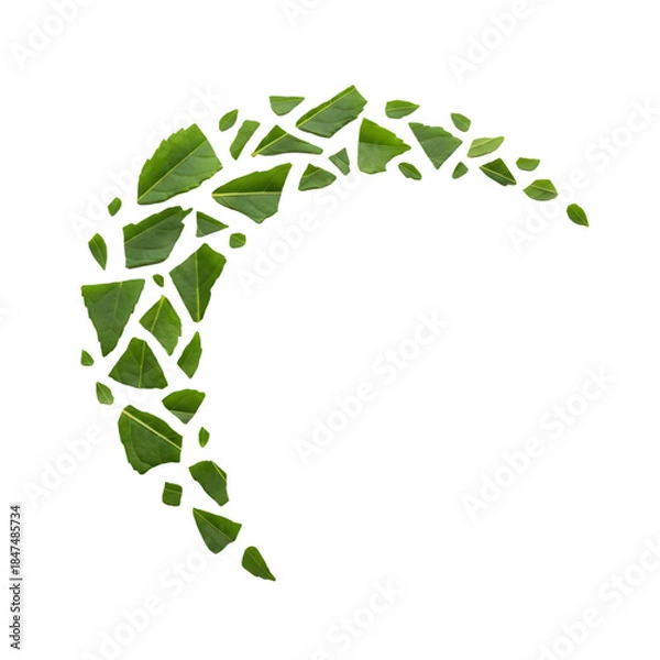 Obraz Leaf mosaic crescent shape
