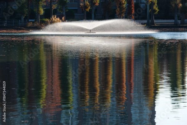 Obraz 映るメタセコイア