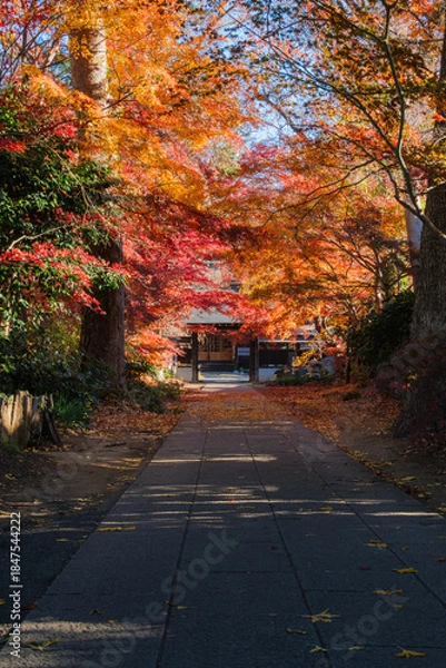 Obraz 石畳と紅葉