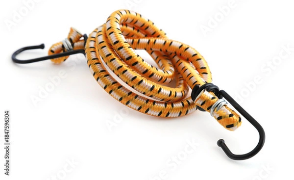 Obraz Elastic Luggage Strap