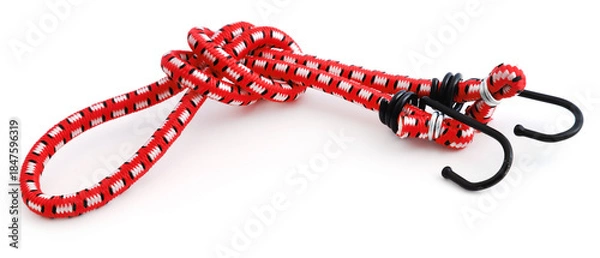 Obraz Elastic Luggage Strap