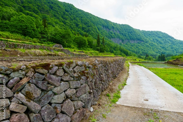 Obraz 250531結東の石垣田