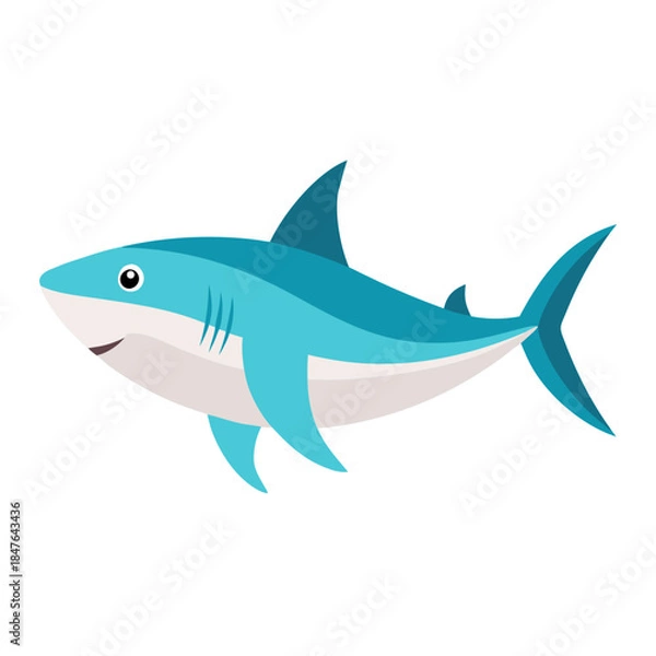 Obraz shark isolated on white background