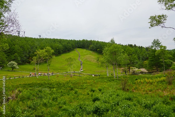 Obraz 250606入笠山トレッキング