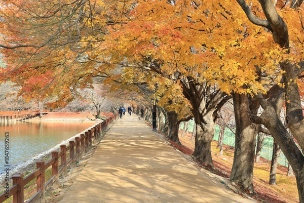 Obraz 창원 진해내수면 생태공원 가을 풍경시리즈