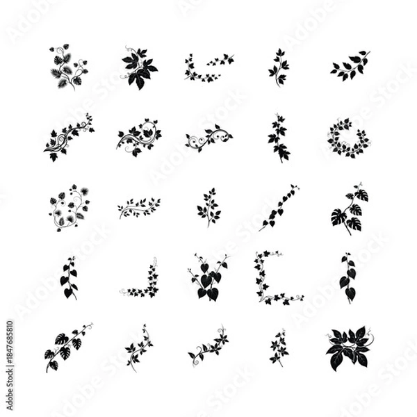 Obraz Decorative Vine and Leaf Silhouette Vector Set