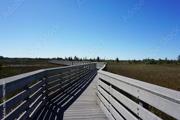 Obraz Nature trail in wilderness
