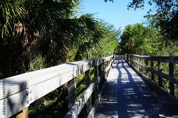Obraz Nature trail in wilderness