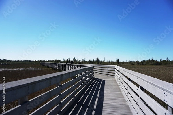 Obraz Man exploring nature alone