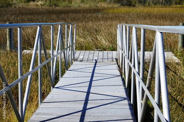 Obraz Landscape views of the swamplands of the Florida Everglades