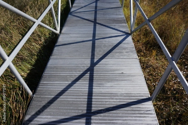 Obraz Landscape views of the swamplands of the Florida Everglades