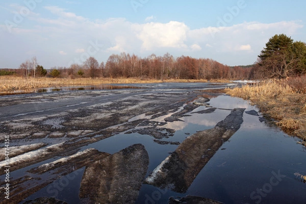 Fototapeta spring flood