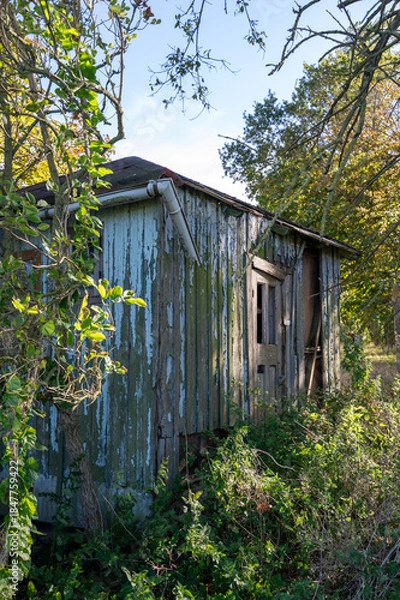 Obraz Old, dilapidated hut in nature