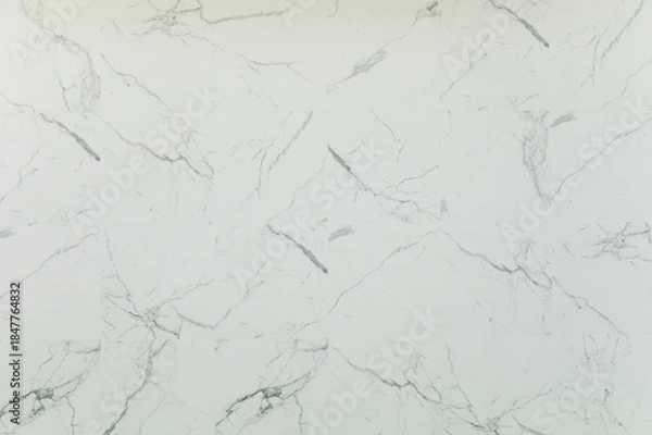 Obraz Elegant white marble tiled surface with grey veins