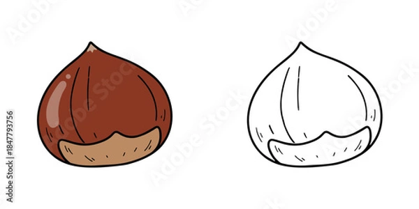 Obraz シンプルな栗のアイコンイラスト