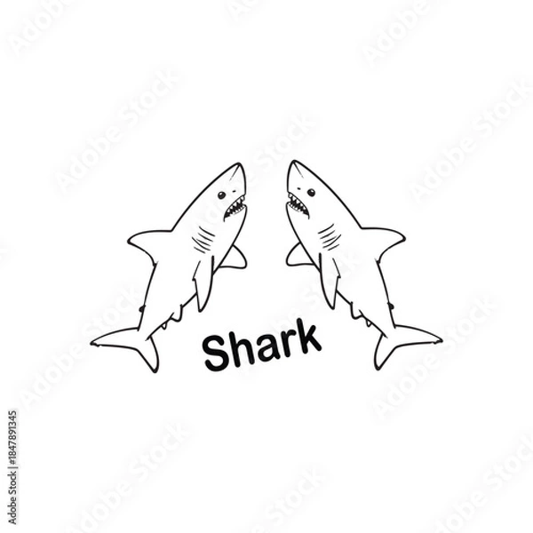 Obraz vector illustration of Shark