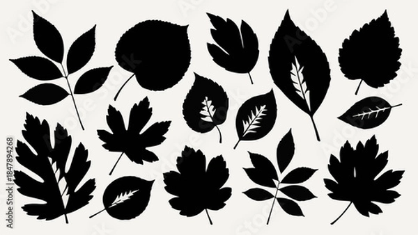Fototapeta Collection of diverse leaf silhouettes on a neutral background