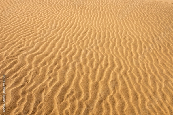 Obraz 鳥取砂丘の砂漠