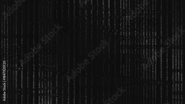 Obraz Black and White VHS Glitch Background
