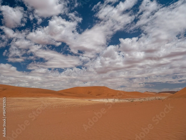 Obraz Sand dunes in the spectacular Sossusvlei landscape.