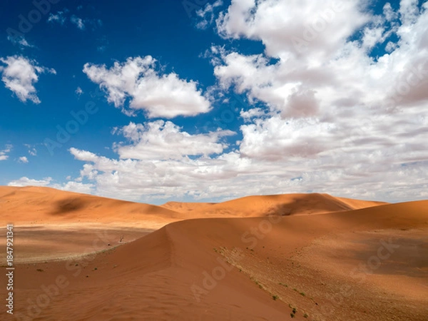 Obraz Sand dunes in the spectacular Sossusvlei landscape.