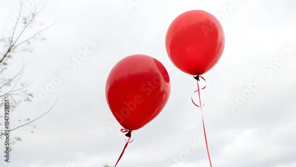 Obraz Red balloons on transparent background