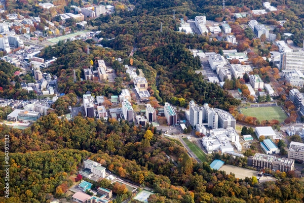 Fototapeta 東北大学理学部キャンパスを空撮