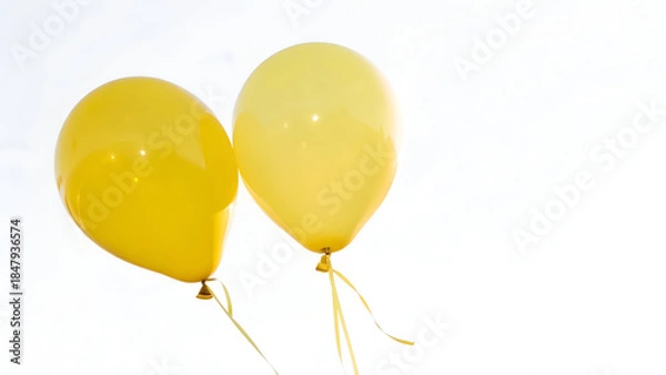 Obraz Two Yellow Balloons Isolated on Transparent white Background