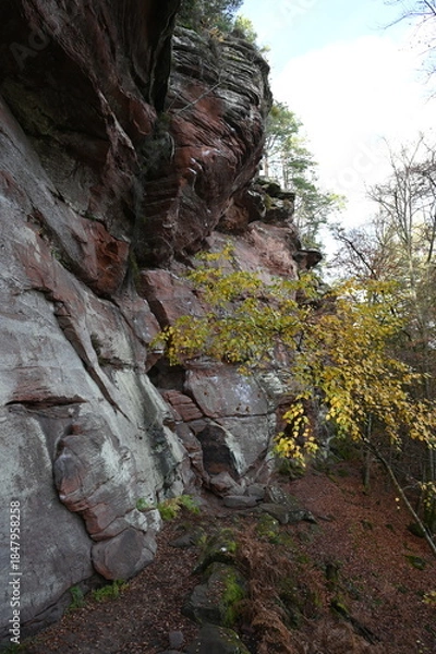 Obraz Burghalderfelsen bei Hauenstein