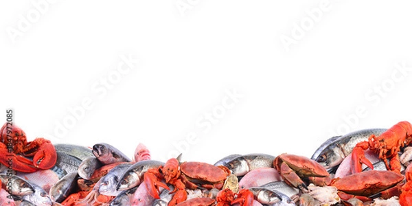 Obraz Fresh seafood isolated