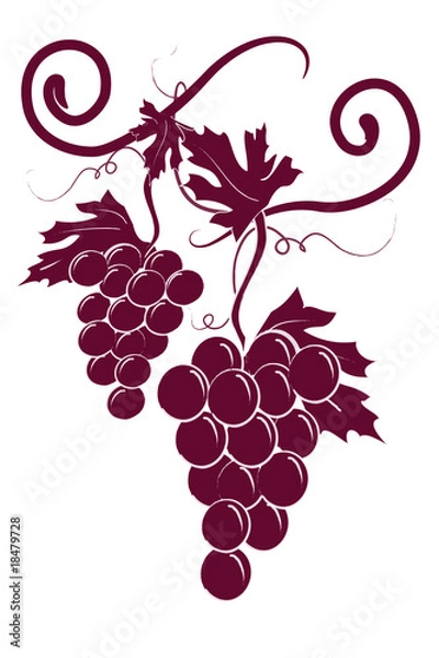 Obraz 2 winogrona winogrona