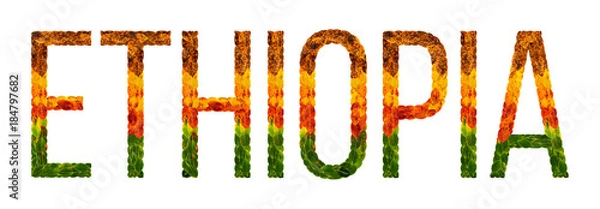 Fototapeta word ethiopia country is written with leaves on a white insulated background, a banner for printing, a creative developing country colored leaves ethiopia