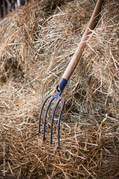 Fototapeta pitchfork in haystack