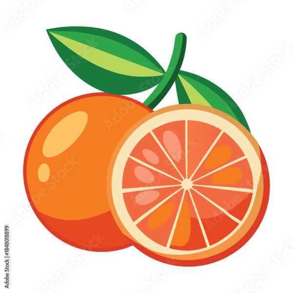 Obraz Fresh Orange Fruit Illustration