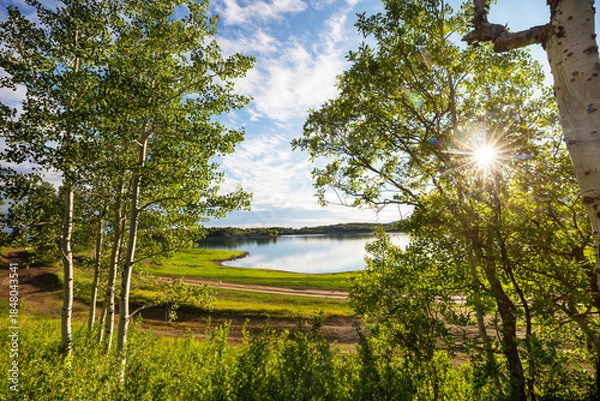 Fototapeta Summer lake