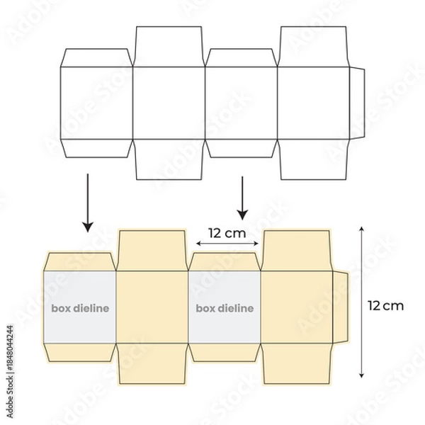 Obraz Technical diagram showing the template and folding instructions for a small product box