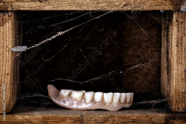 Fototapeta teeth on the shelf