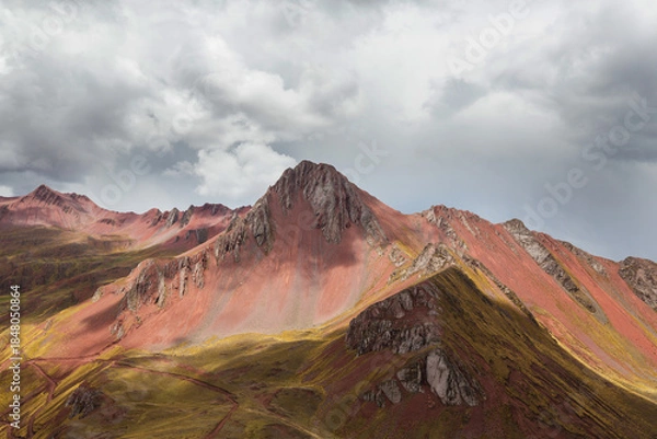 Fototapeta Pallay Poncho