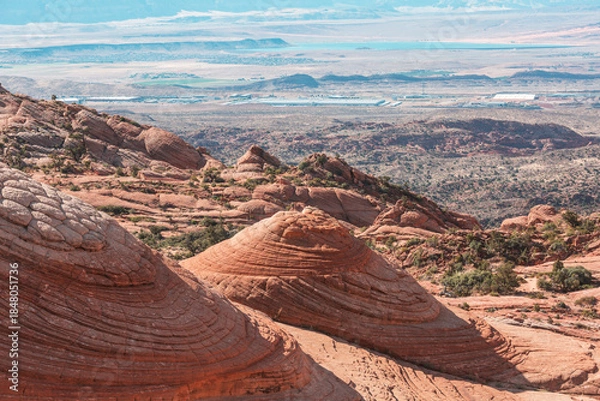 Fototapeta Yant flat