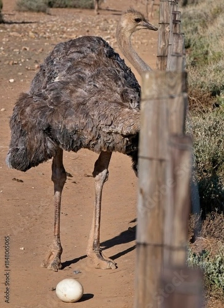 Obraz The next generation.