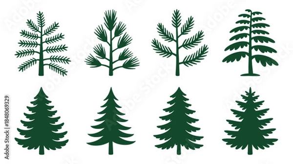 Obraz Collection of pine tree illustrations Vector