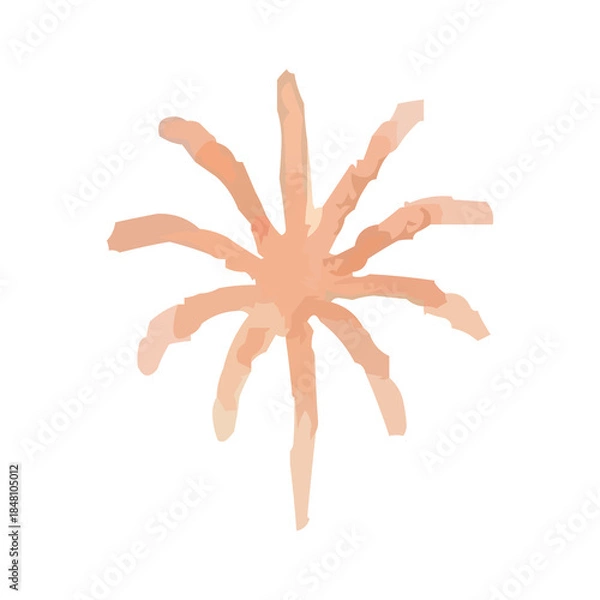 Obraz watercolor fireworks