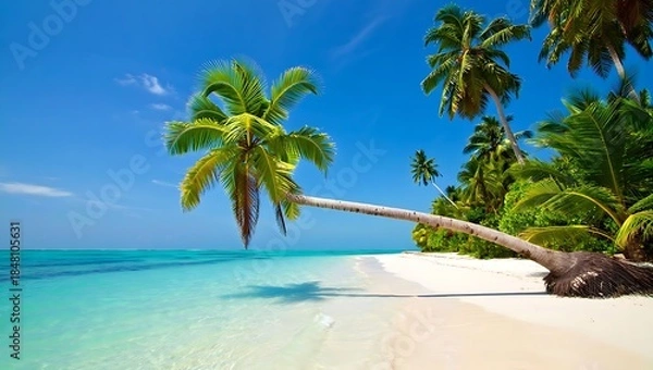 Fototapeta A serene tropical beach with a leaning palm tree and clear turquoise water on a sunny day