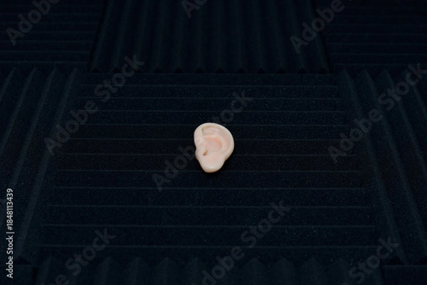 Obraz Mousse isolante son, écouter, oreille